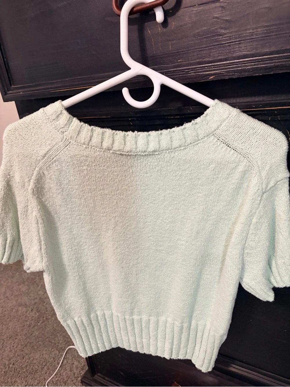 Pink Rose Short Sleeve Crewneck Sweater in Mint